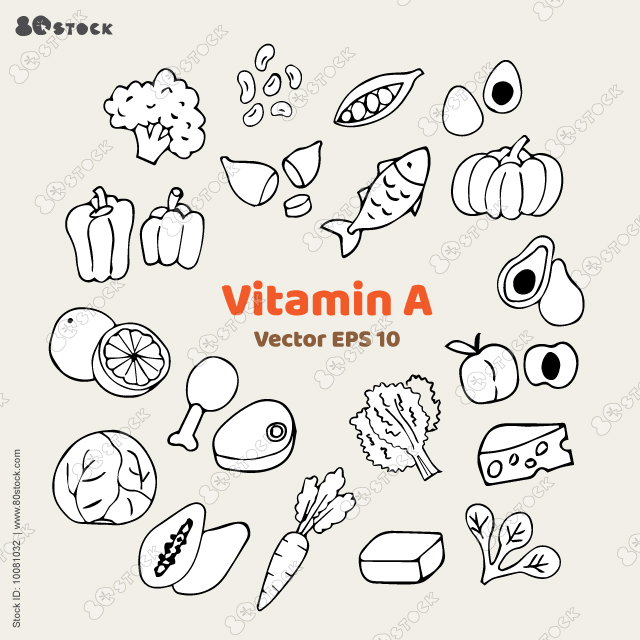 Collection of vitamin A sources. Sketch healthy food containing carotene. Dairy products, greens, vegetable, fruits, fish. Sketch hand drawn vector.