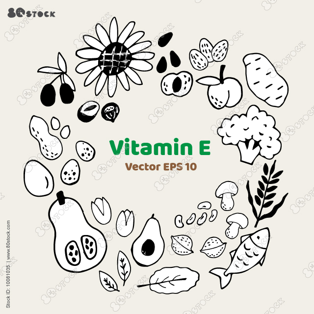 Collection of vitamin E sources. Sketch healthy food containing carotene. Greens, vegetable, fruits, fish. Sketch hand drawn vector.