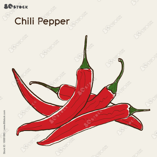 Red chilli pepper isolated on white background. Healthy organic food. Vector illustration. Hot chilli pepper.