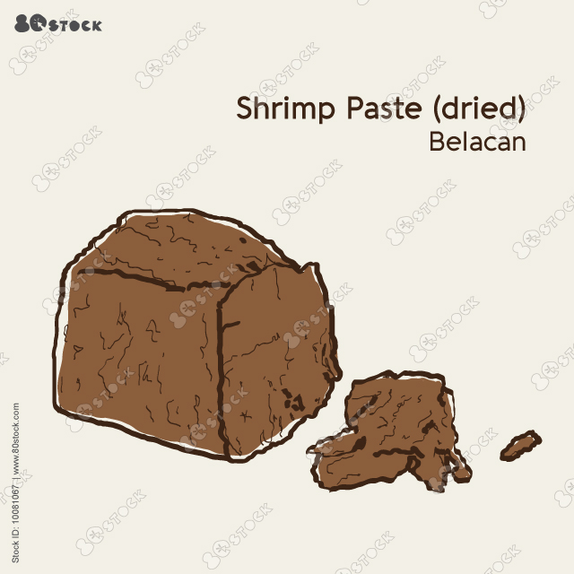 Shrimp paste (dried) Belacan . Vector illustration. 