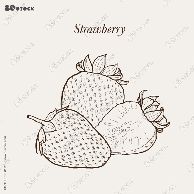 Whole strawberry and sliced half strawberry. Vector illustration EPS 10.