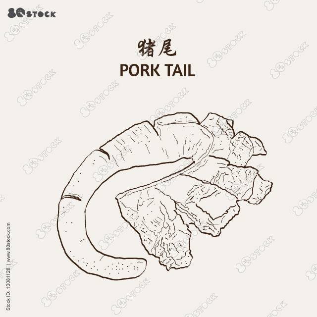 Pork tail. Vector illustration EPS 10.