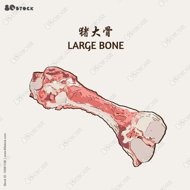 Large bone. Large pork bone.Vector illustration EPS 10.