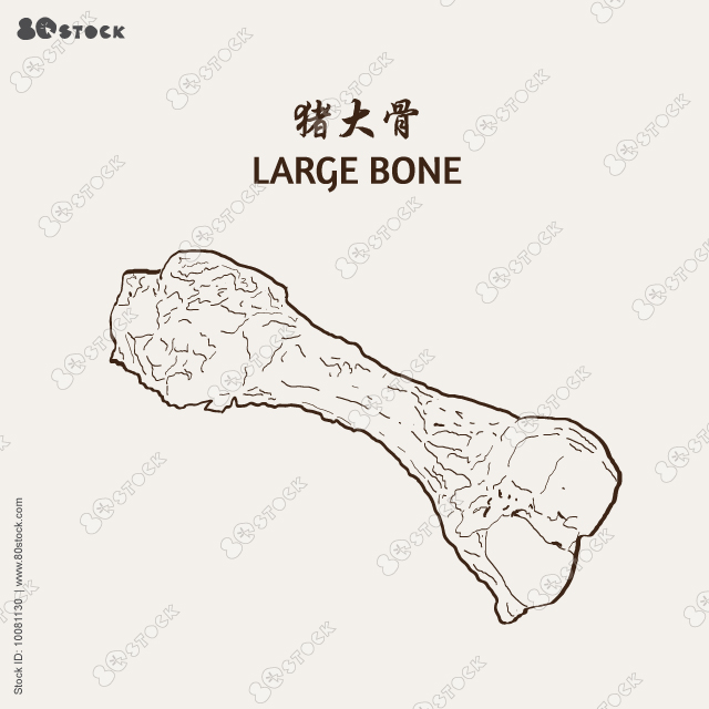 Large bone. Large pork bone.Vector illustration EPS 10.