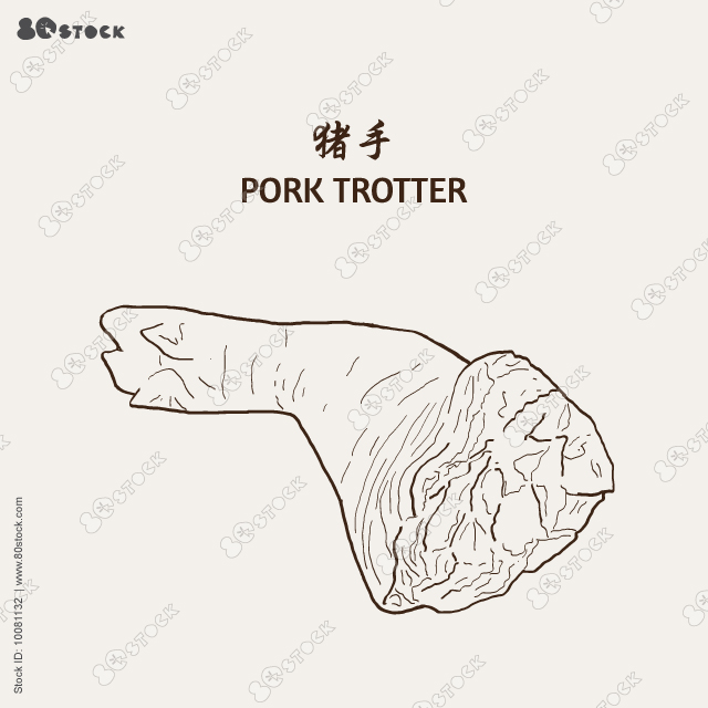 Pork trotter. Vector illustration EPS 10.