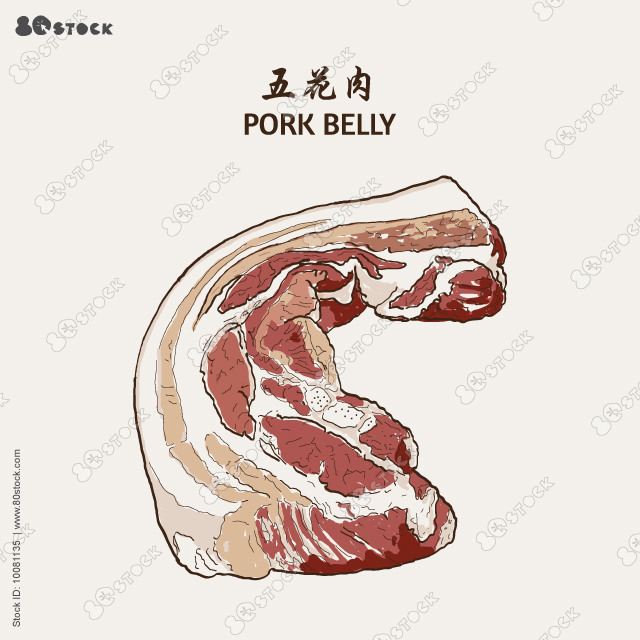 Pork belly. Vector illustration EPS 10.