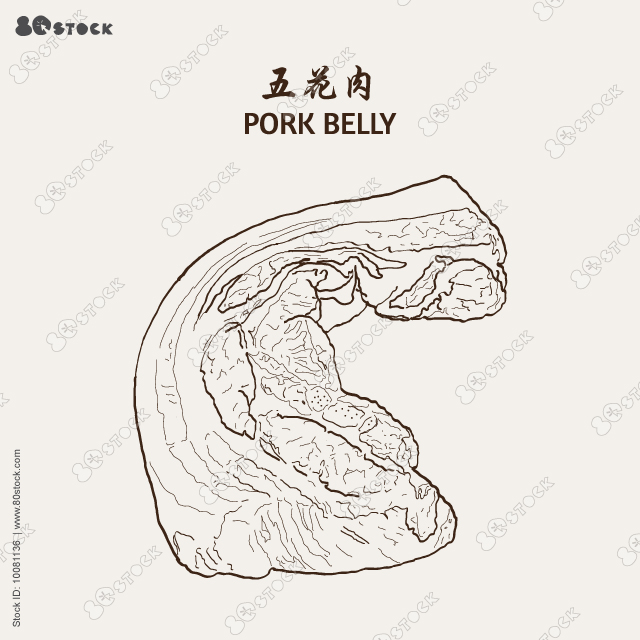 Pork belly. Vector illustration EPS 10.