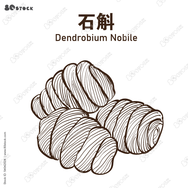 Heap of dendrobium candidum (ShiDou) 石斛, Hand drawn Shi Dou. It is a precious Chinese herbal medicine and tonic.