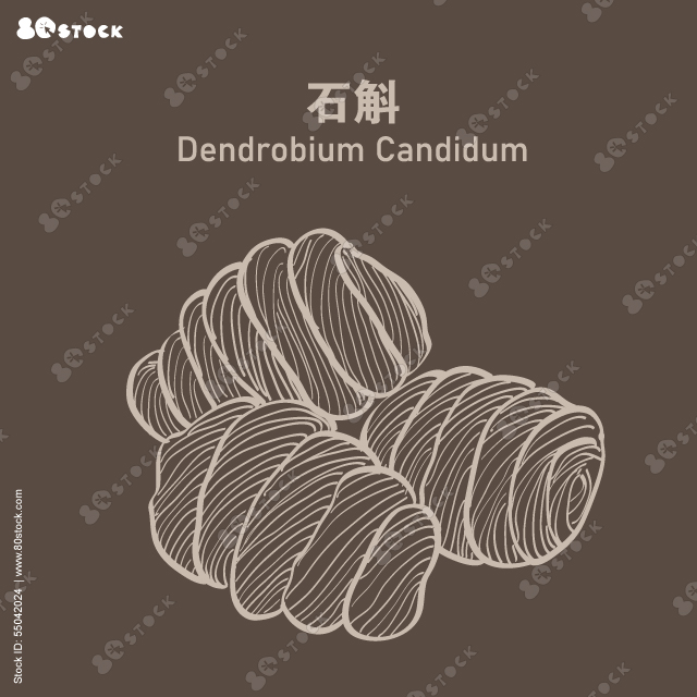 Heap of dendrobium candidum (ShiDou) 石斛, Hand drawn Shi Dou. It is a precious Chinese herbal medicine and tonic.