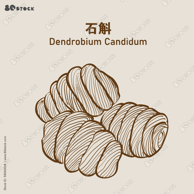 Heap of dendrobium candidum (ShiDou) 石斛, Hand drawn Shi Dou. It is a precious Chinese herbal medicine and tonic.