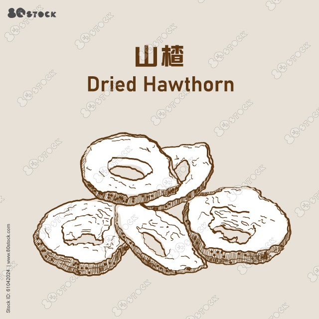 Dried hawthorn slices or crataegus pinnatifida (ShangZha) 山楂片. Chinese herb. Vector EPS 10