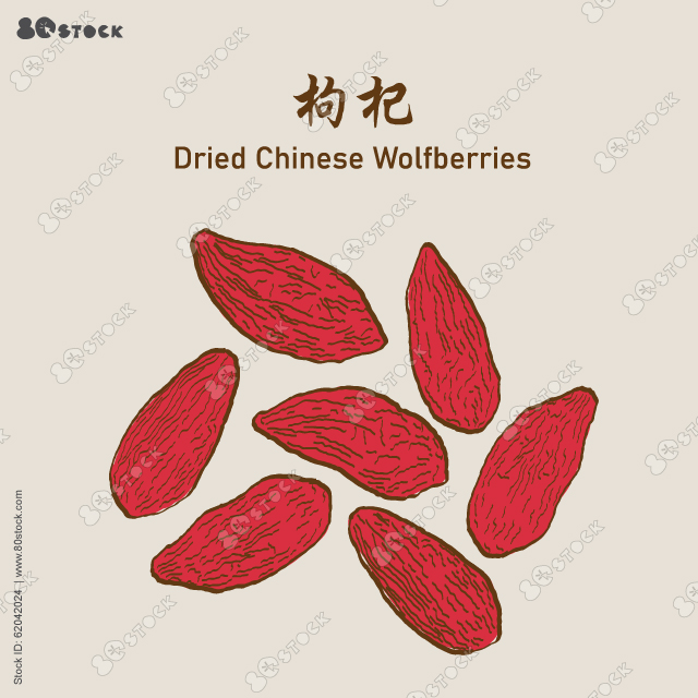 Dried chinese wolfberries, goji, goji berry or lycium chinense. 枸杞. Vector EPS 10